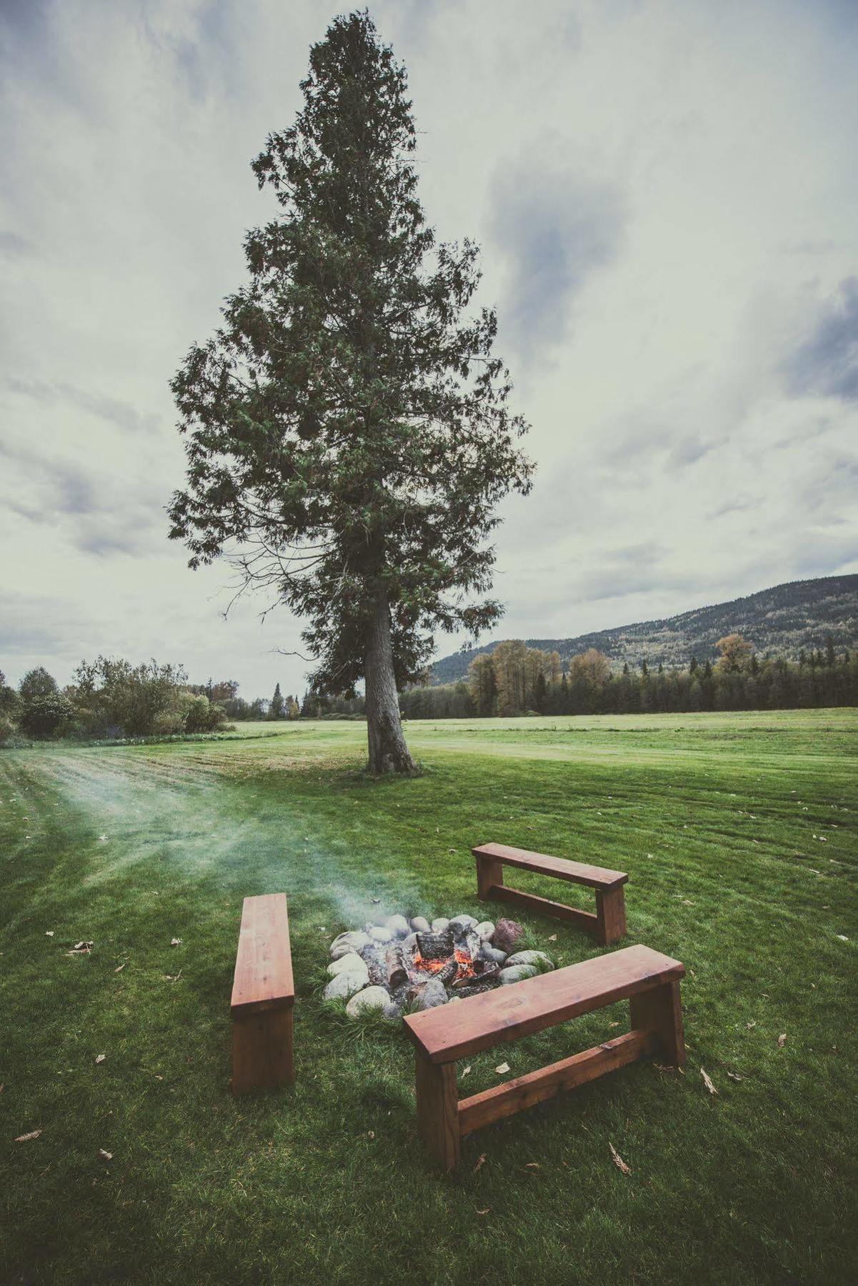 Hidden Acres Farm And Treehouse Resort Terrace Luaran gambar