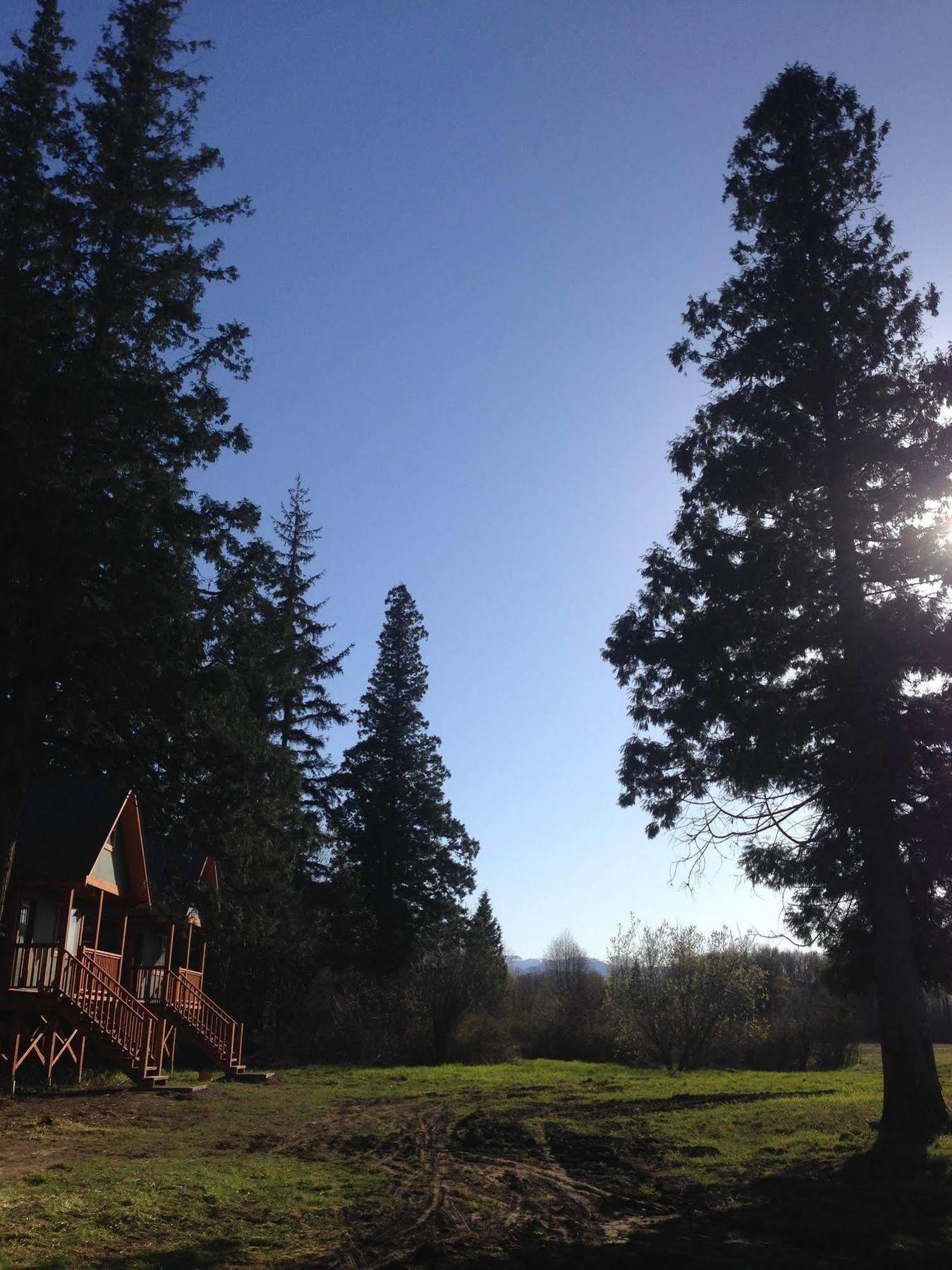Hidden Acres Farm And Treehouse Resort Terrace Luaran gambar